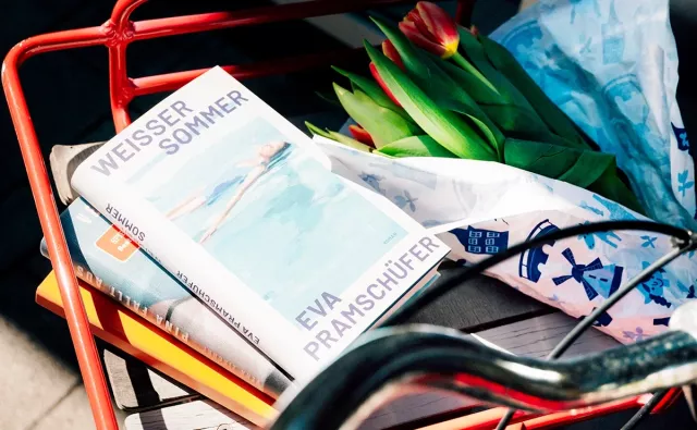 Fahrradkorb mit Buch-Empfehlungen 